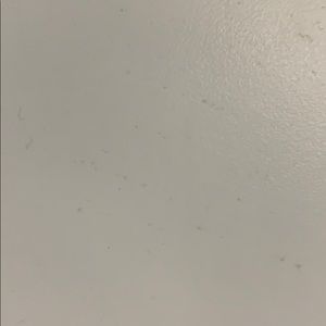 Meet your Posher, Georgie